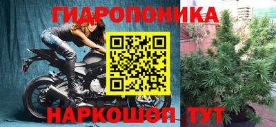 ПСИЛОЦИБИНОВЫЕ ГРИБЫ Среднеуральск